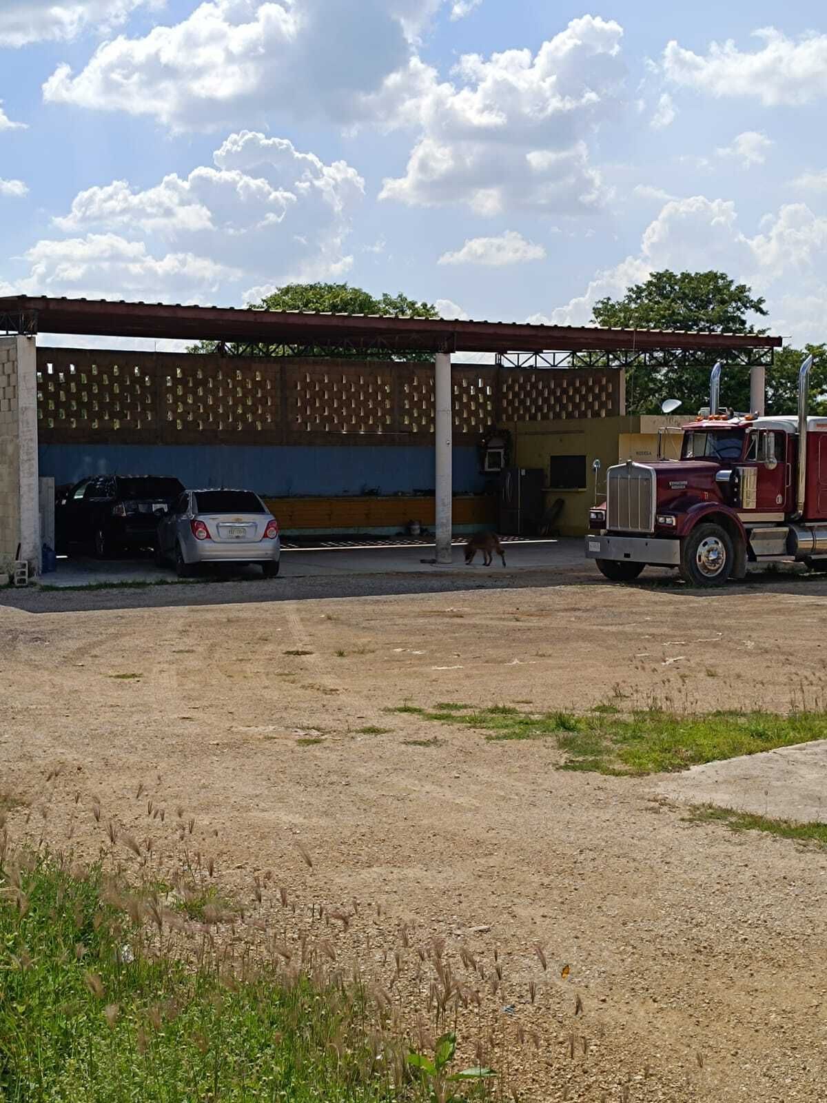 1 de 11