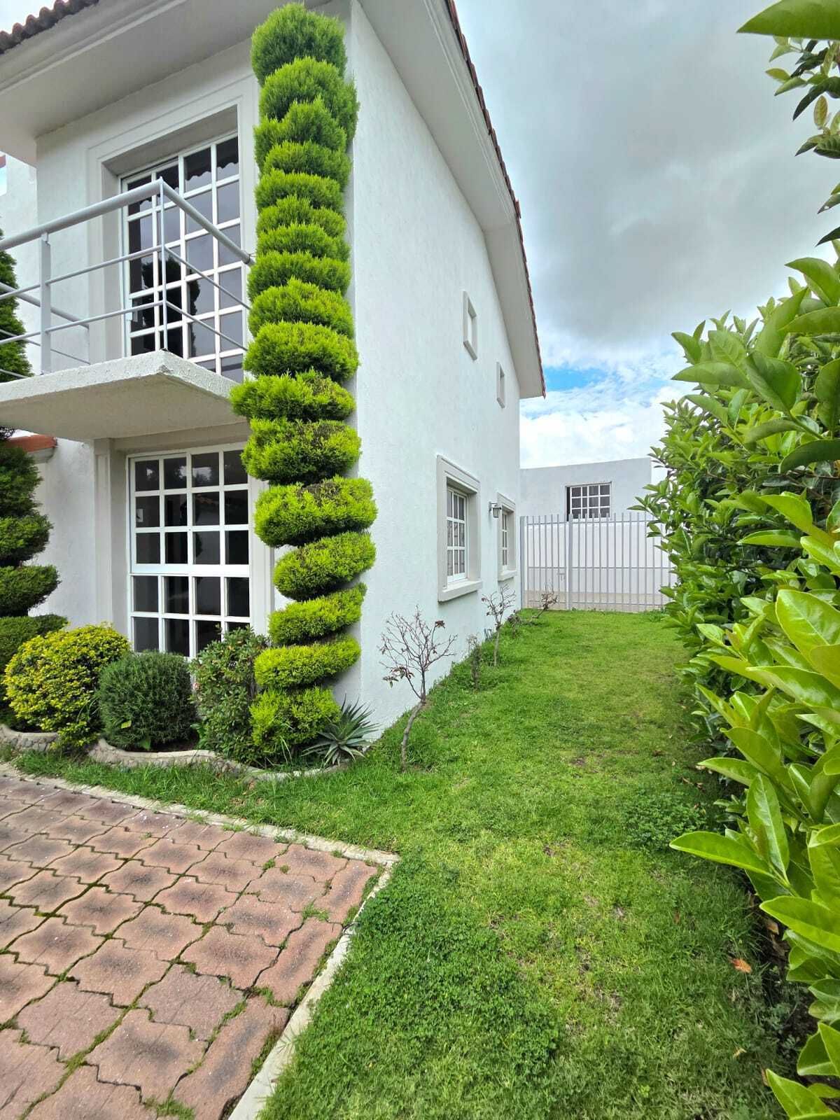 3 de 26: JARDÍN