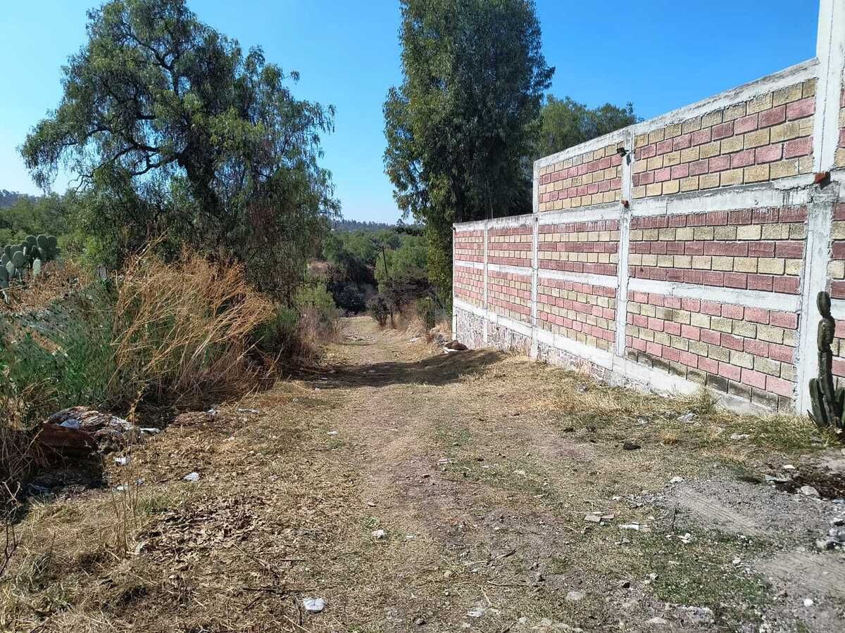 4 de 10