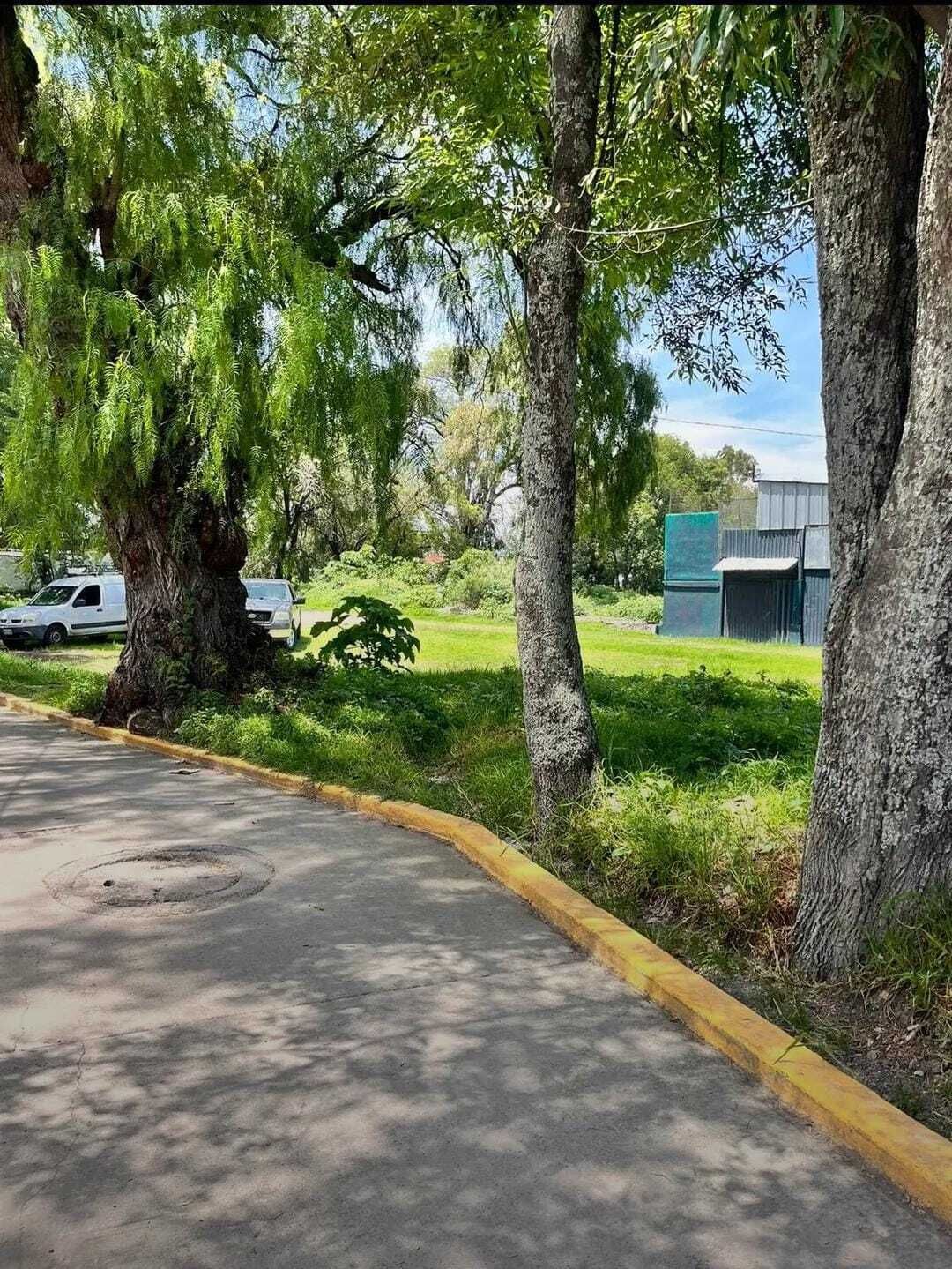 Imagen 7 de 10