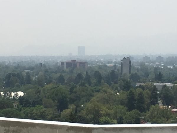 14 de 16