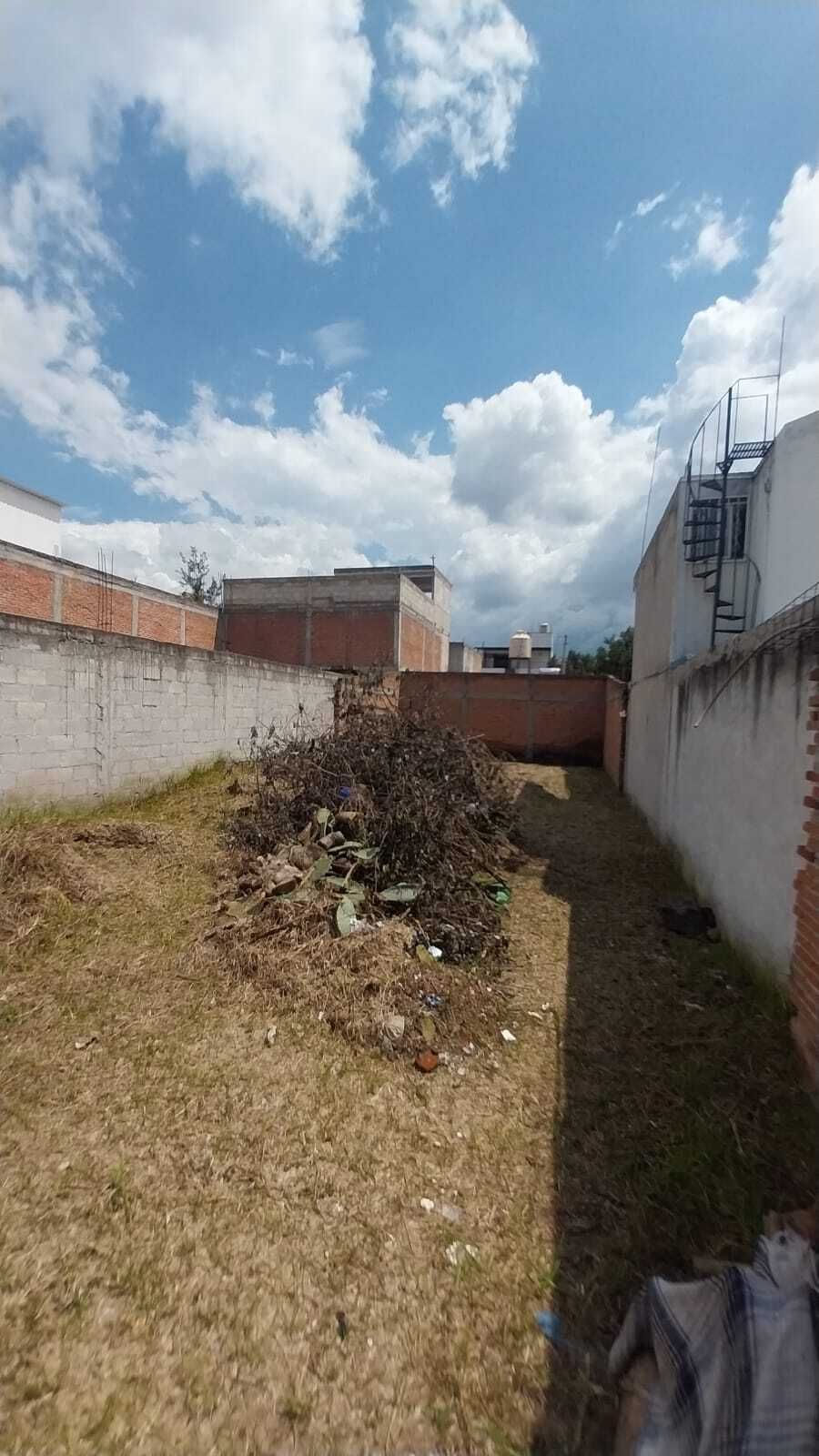 3 de 11