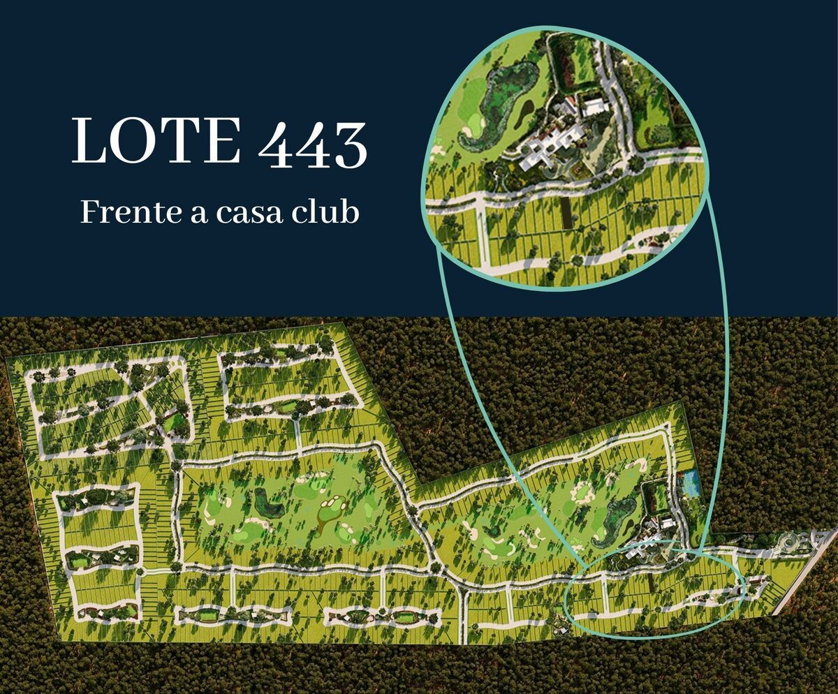 3 de 26