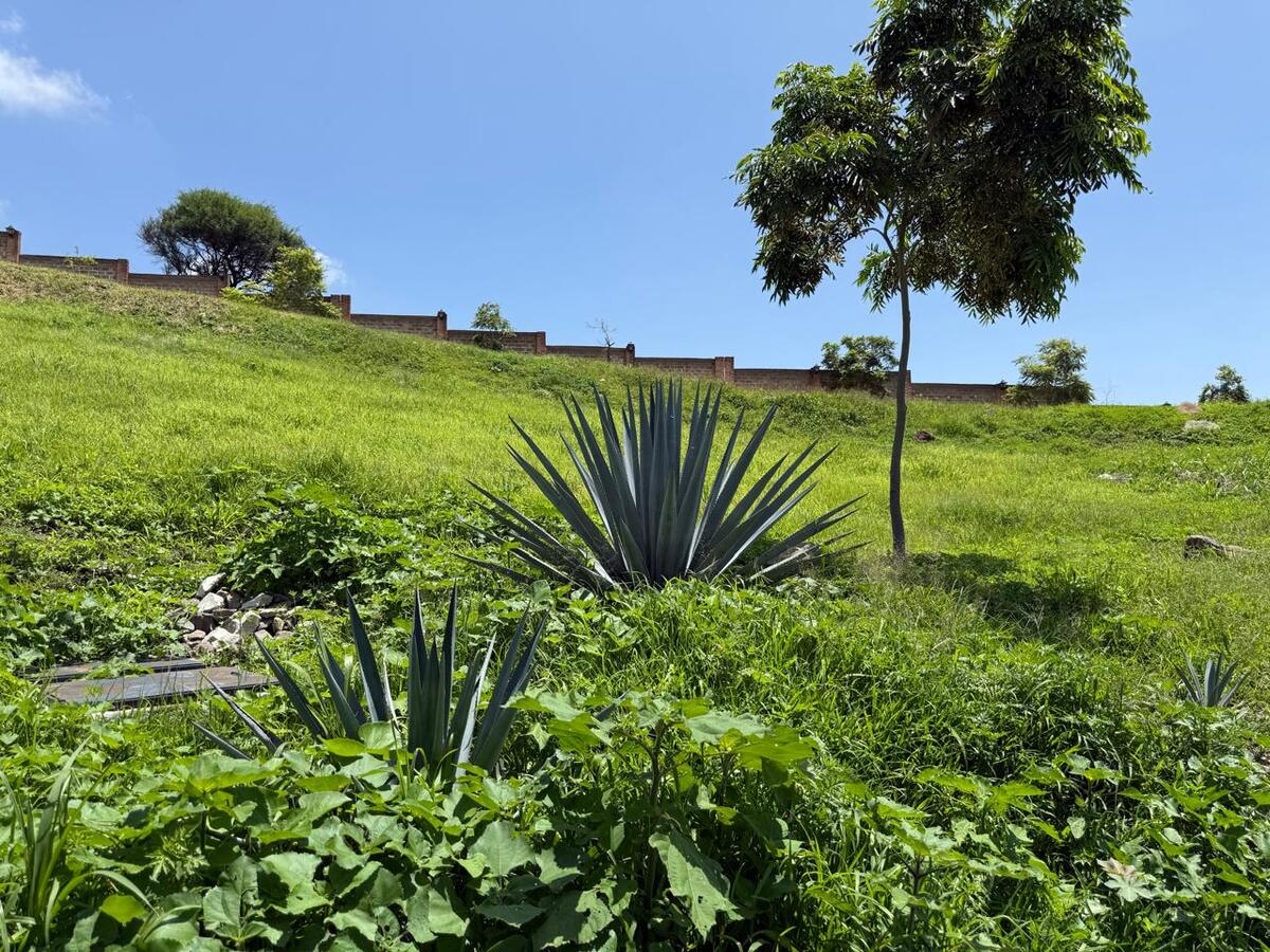 13 de 19