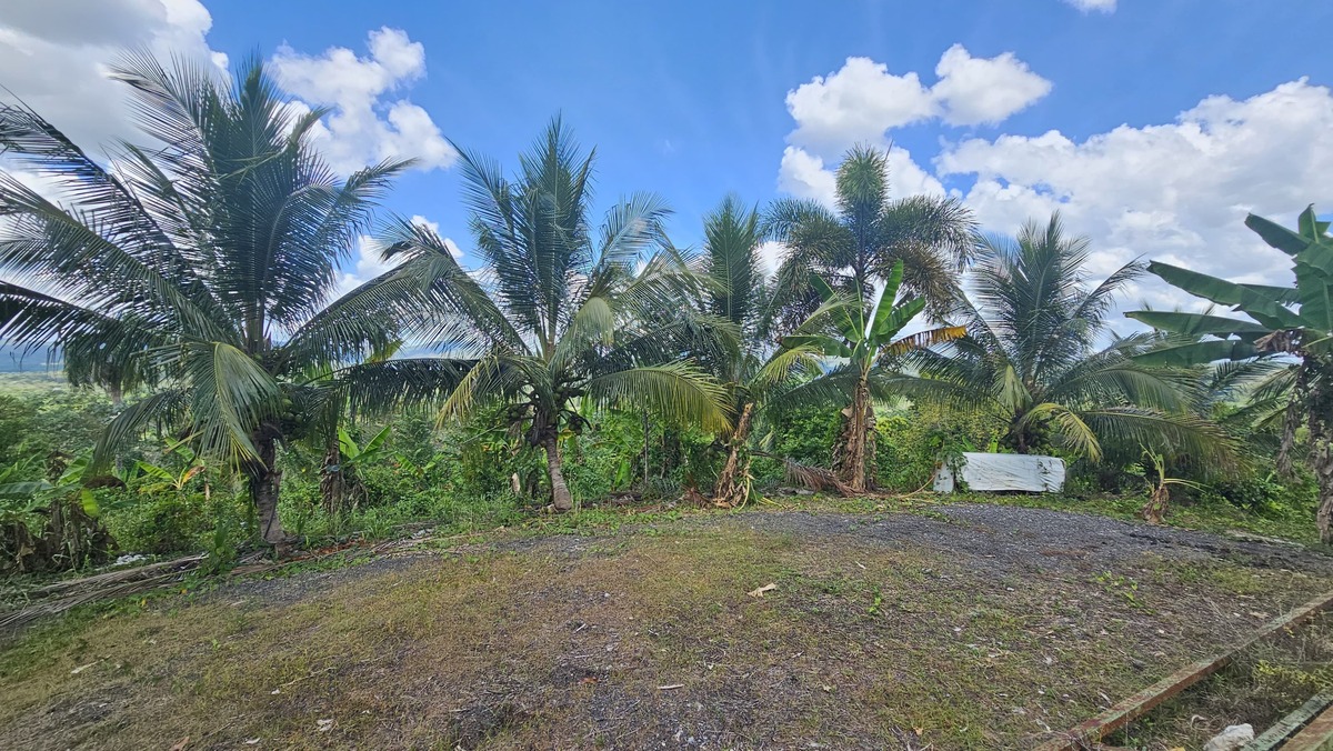 Property view 1