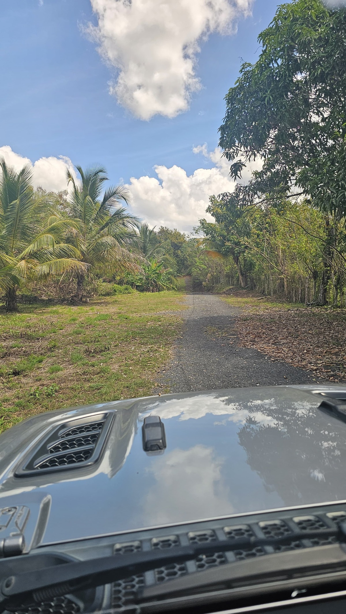 Property view 2