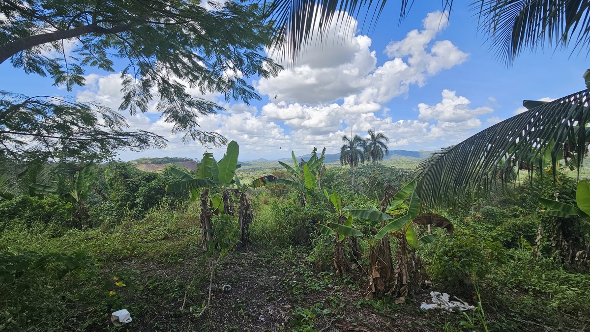 Property view 4