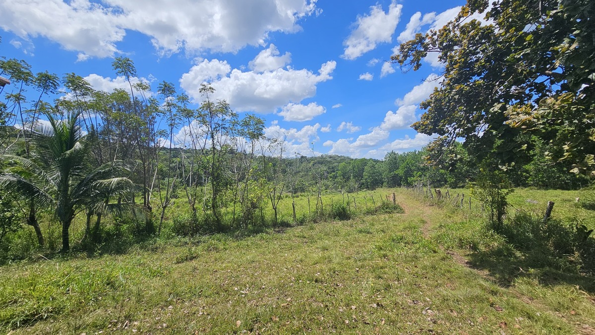 Property view 6