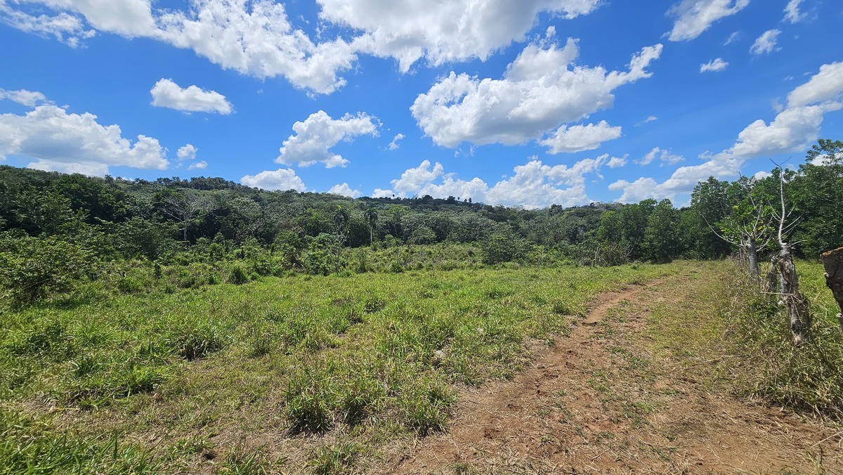 Property view 7