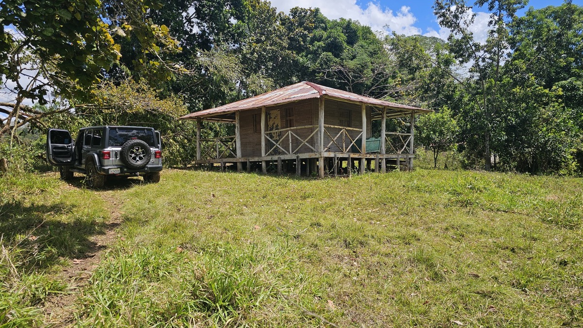 Property view 8
