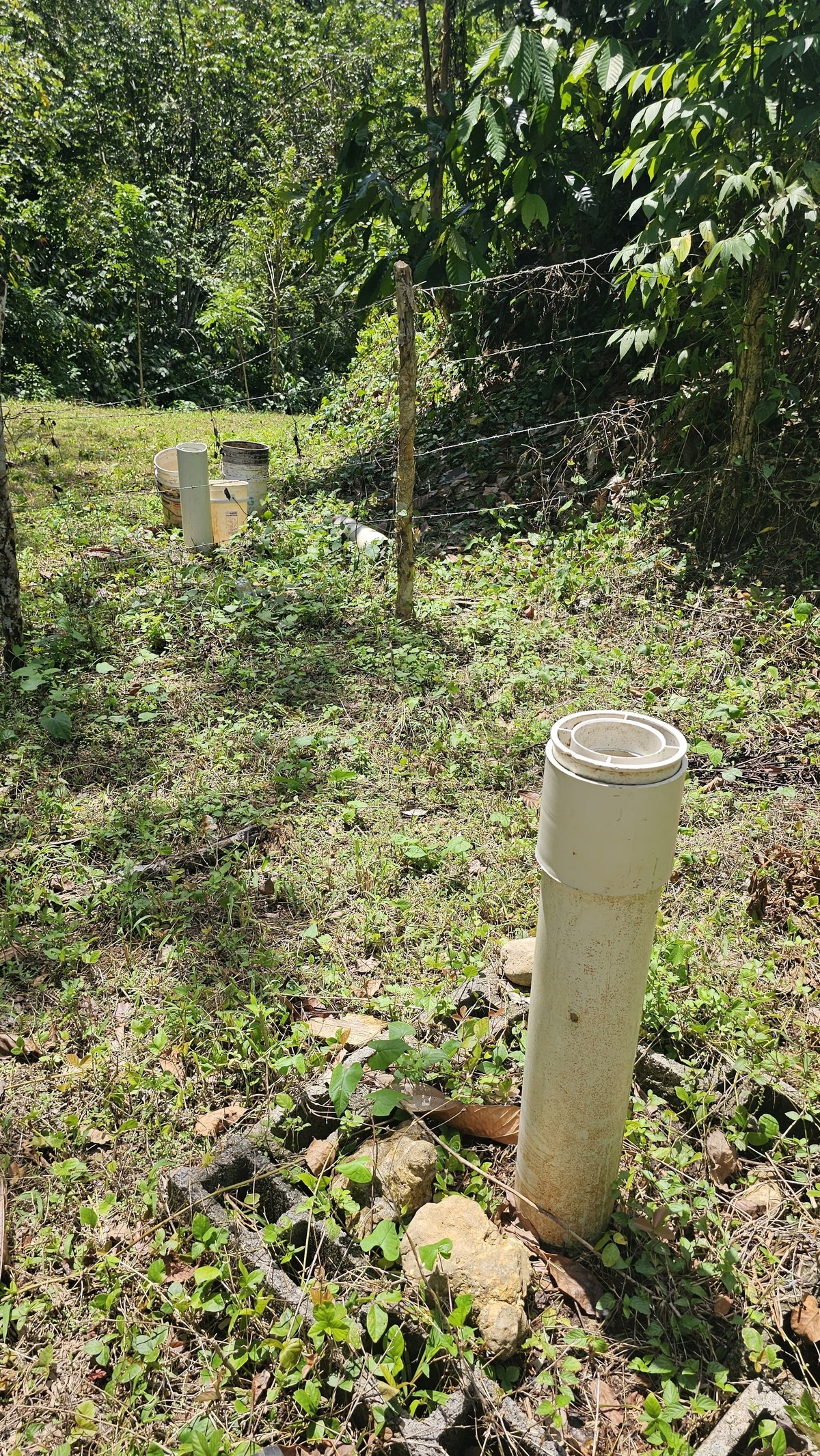 Property view 9