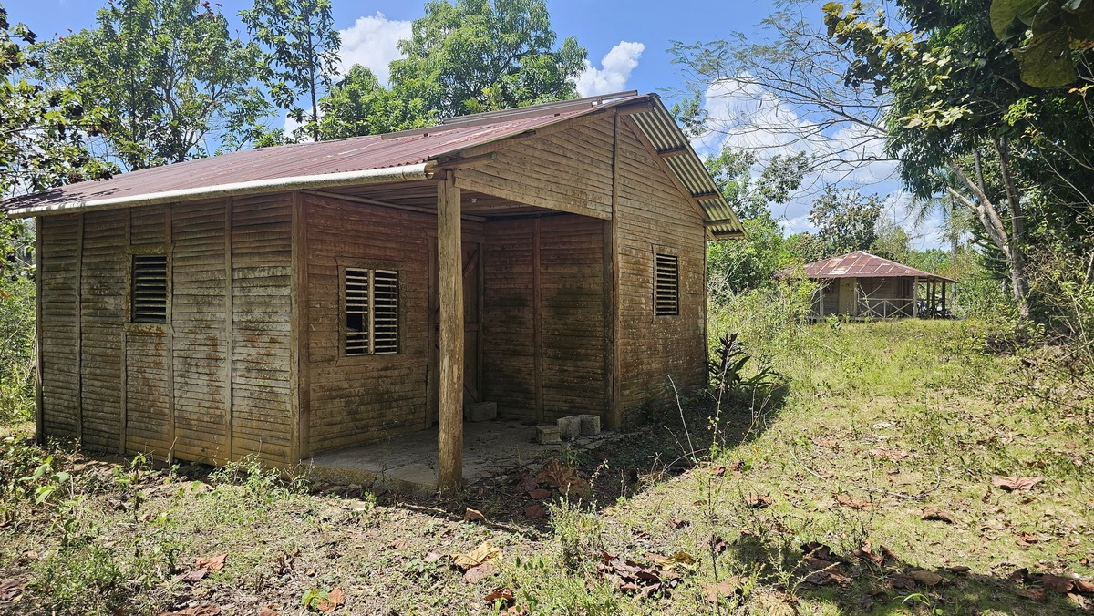 Property view 10