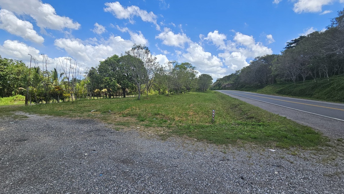 Property view 11