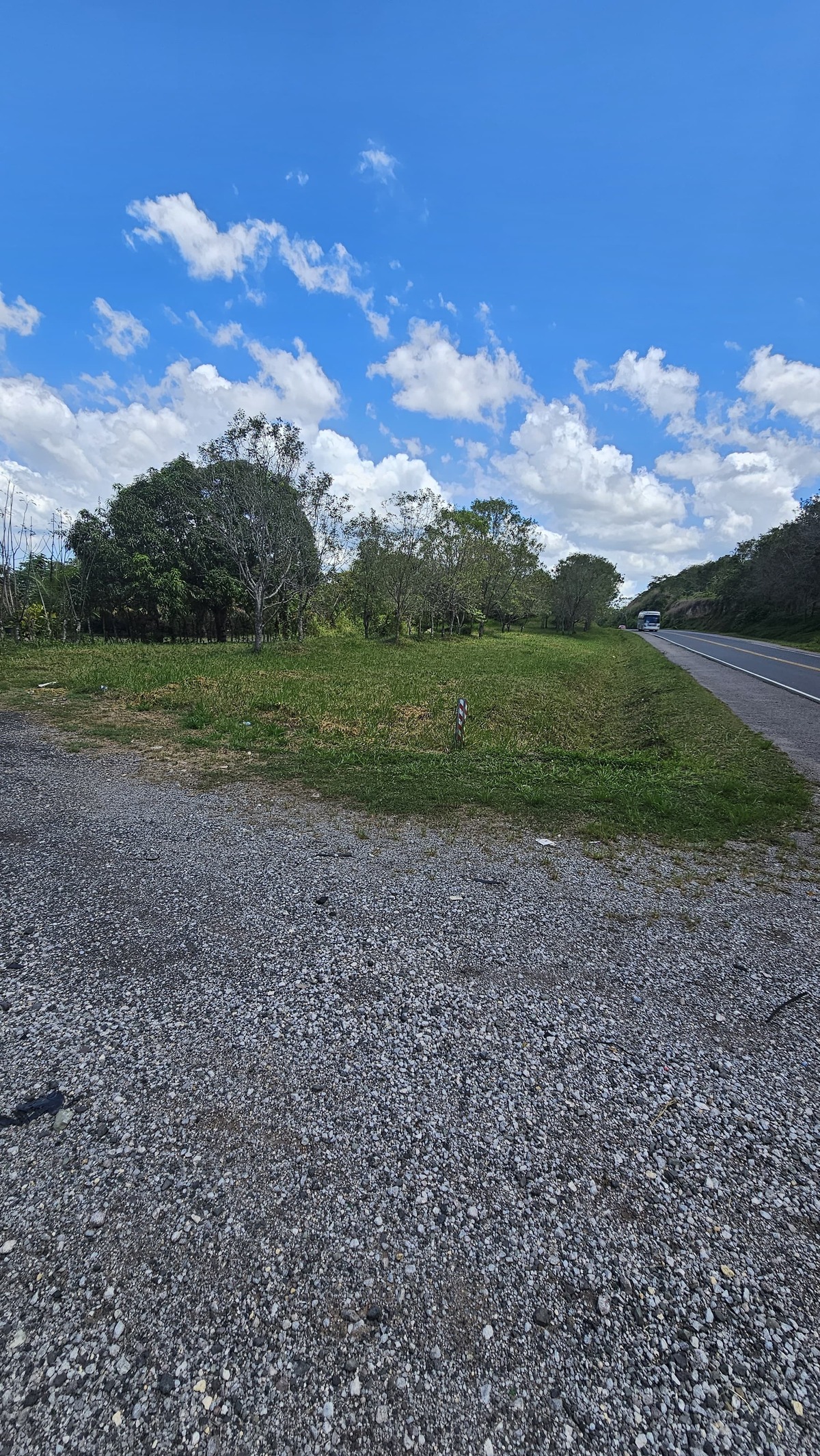 Property view 12