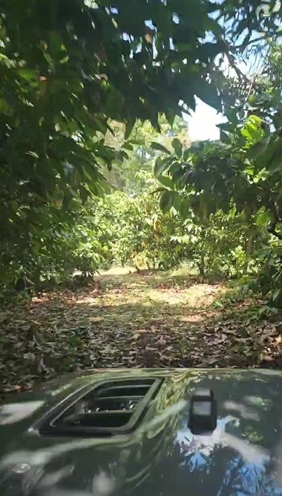 Property view 13