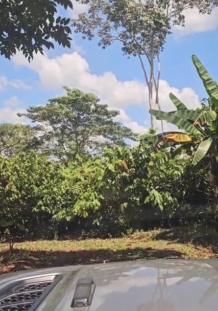 Property view 14