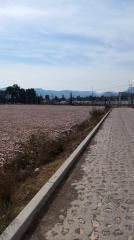 Imagen 2 de 2