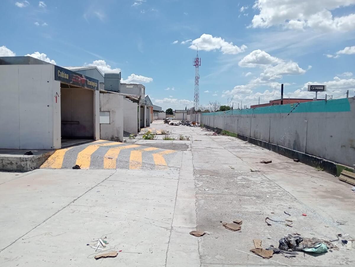 Imagen 4 de 8