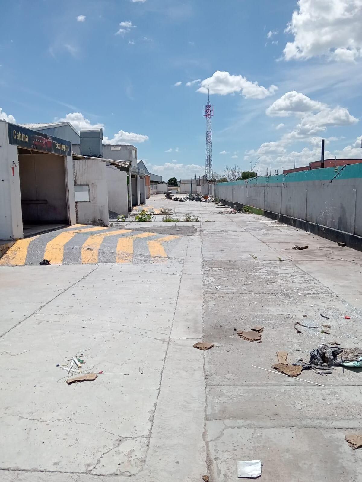 Imagen 5 de 8