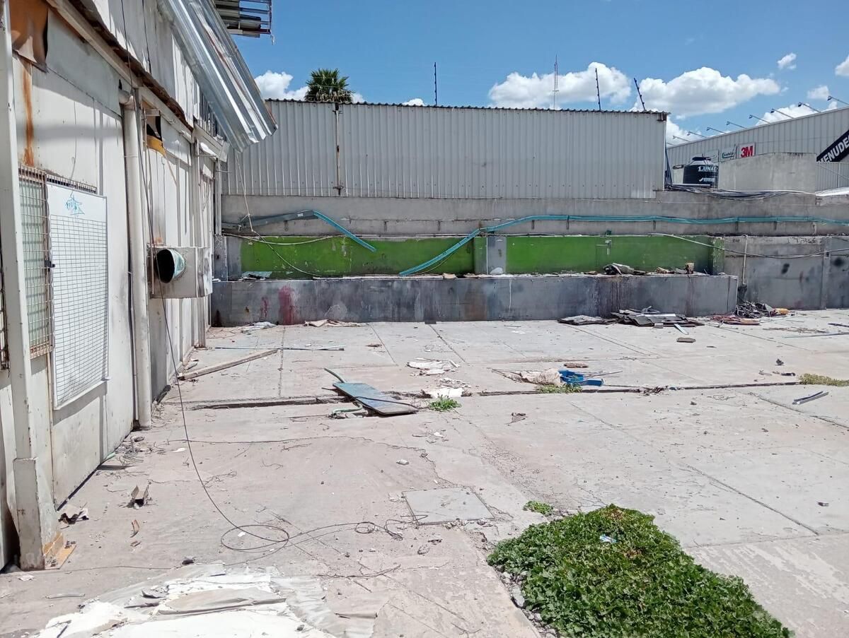 Imagen 8 de 8