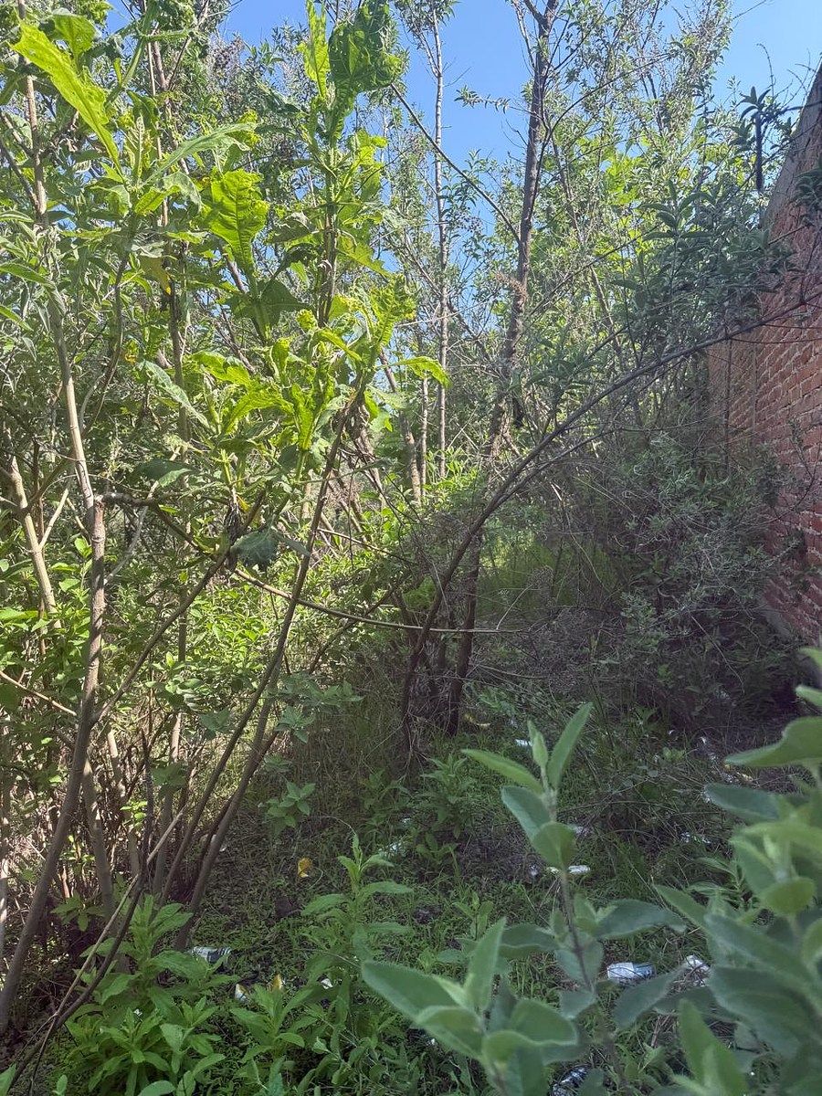 Terreno en Las Palomas, Zapopan, foto 6 de 14