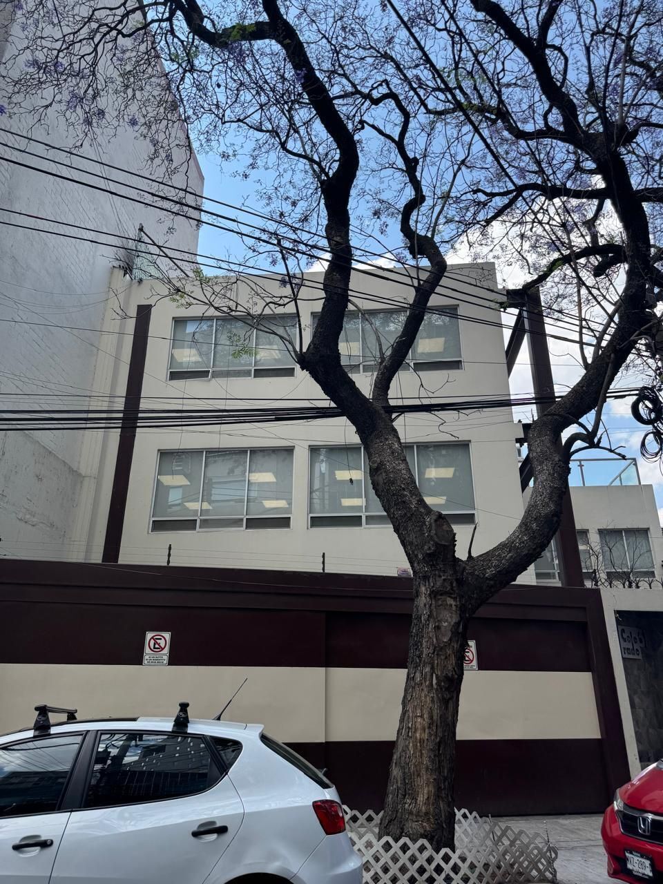 8 de 39