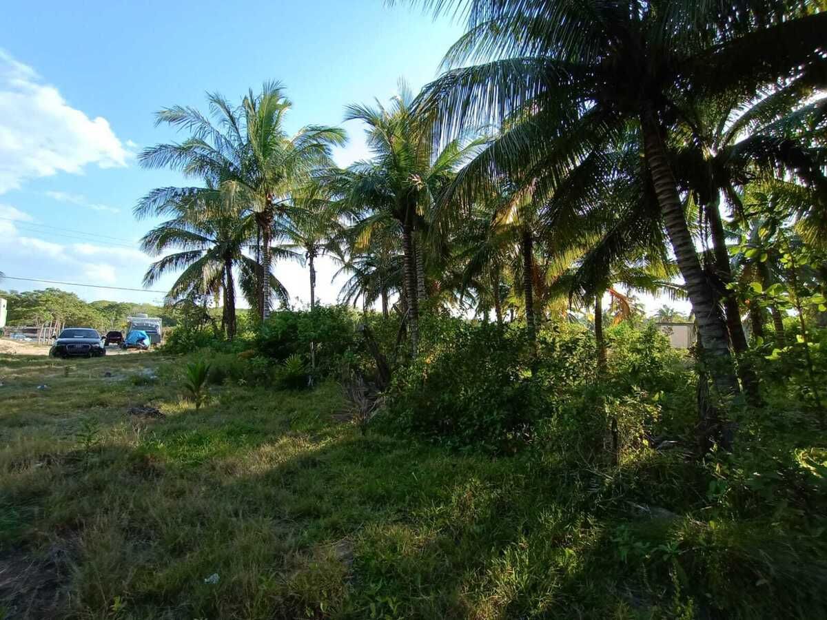 1 de 5