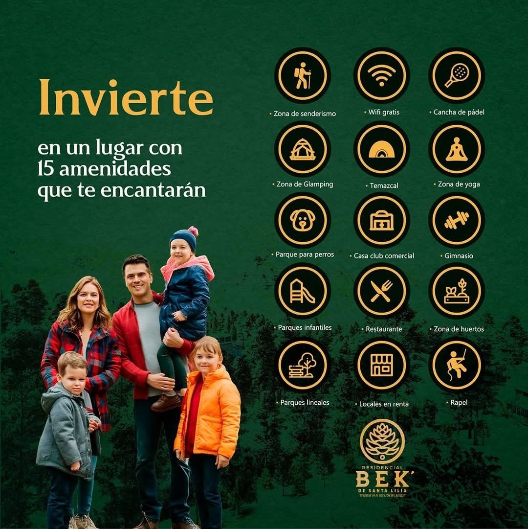 5 de 15