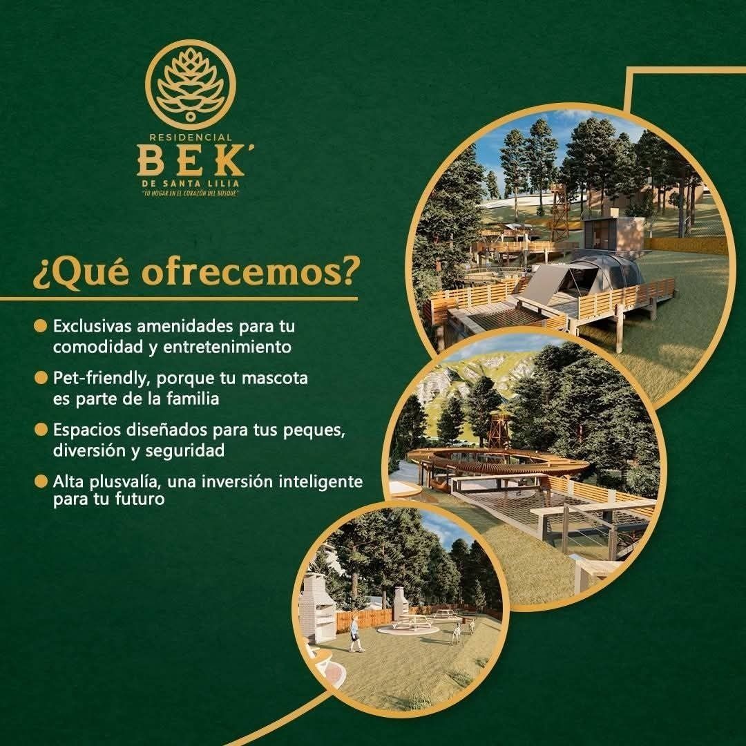 3 de 15
