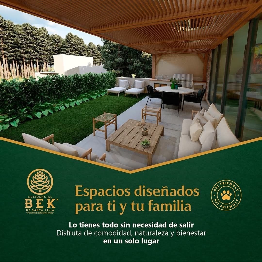 8 de 15