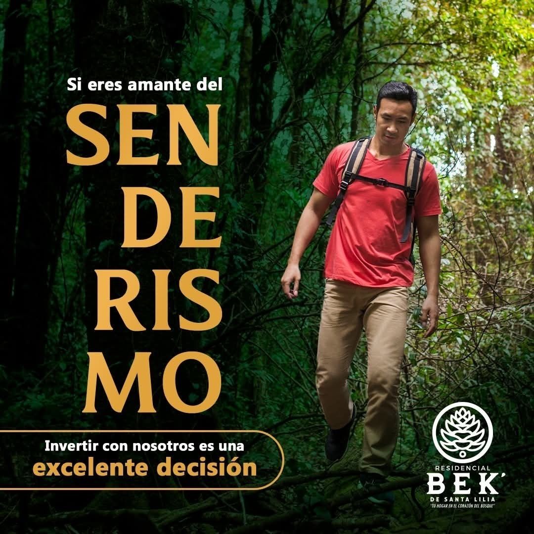7 de 15