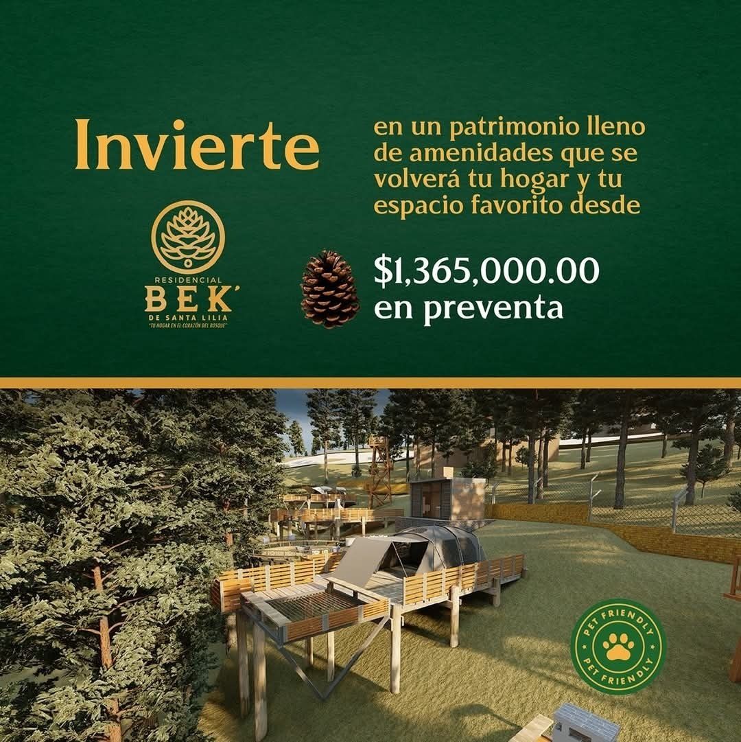 9 de 15