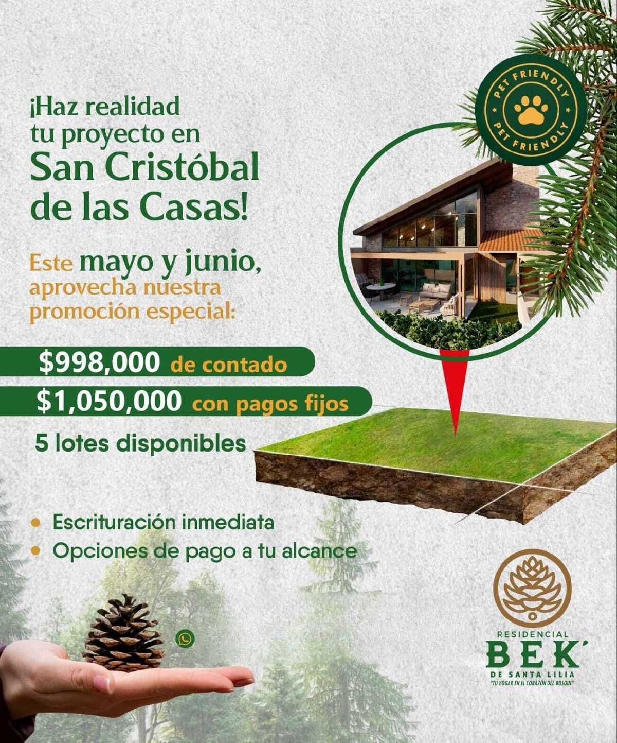 1 de 15