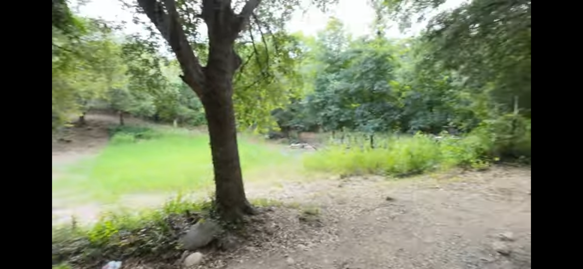 1 of 5