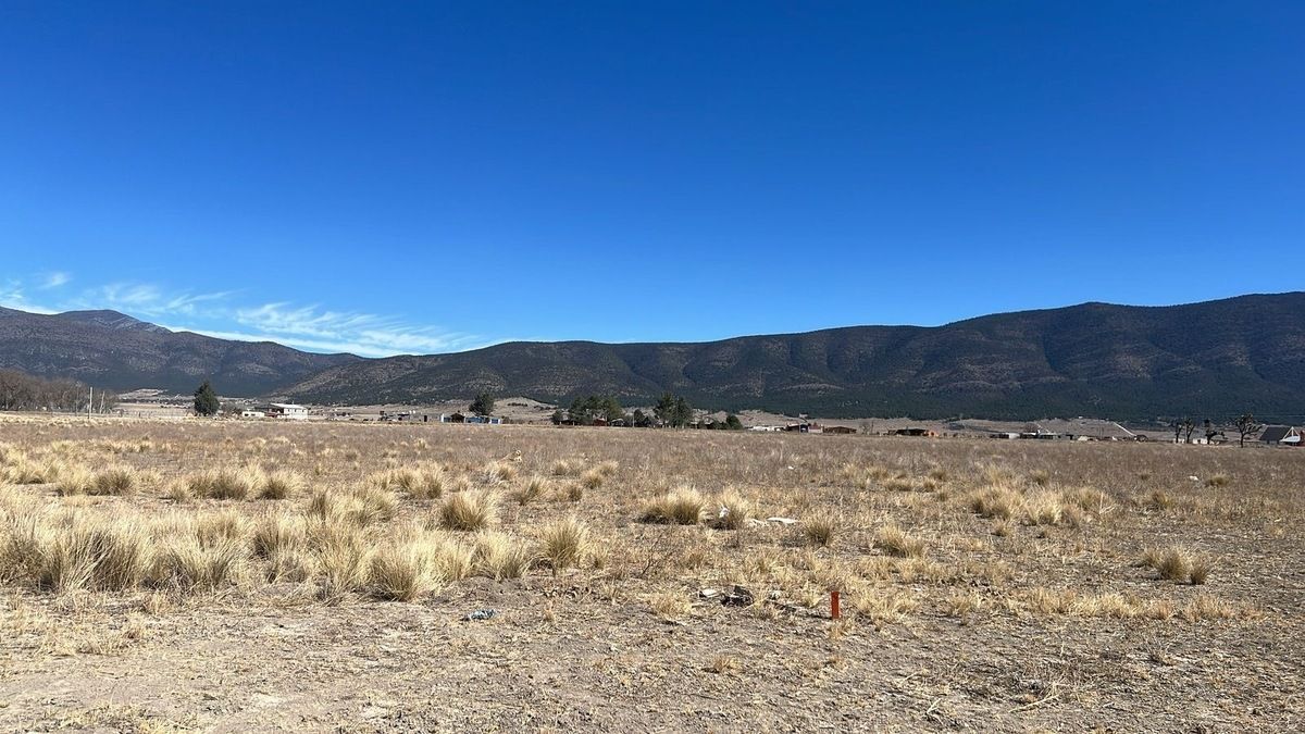 TERRENO EN VENTA CARRETERA SALTILLO - foto 2