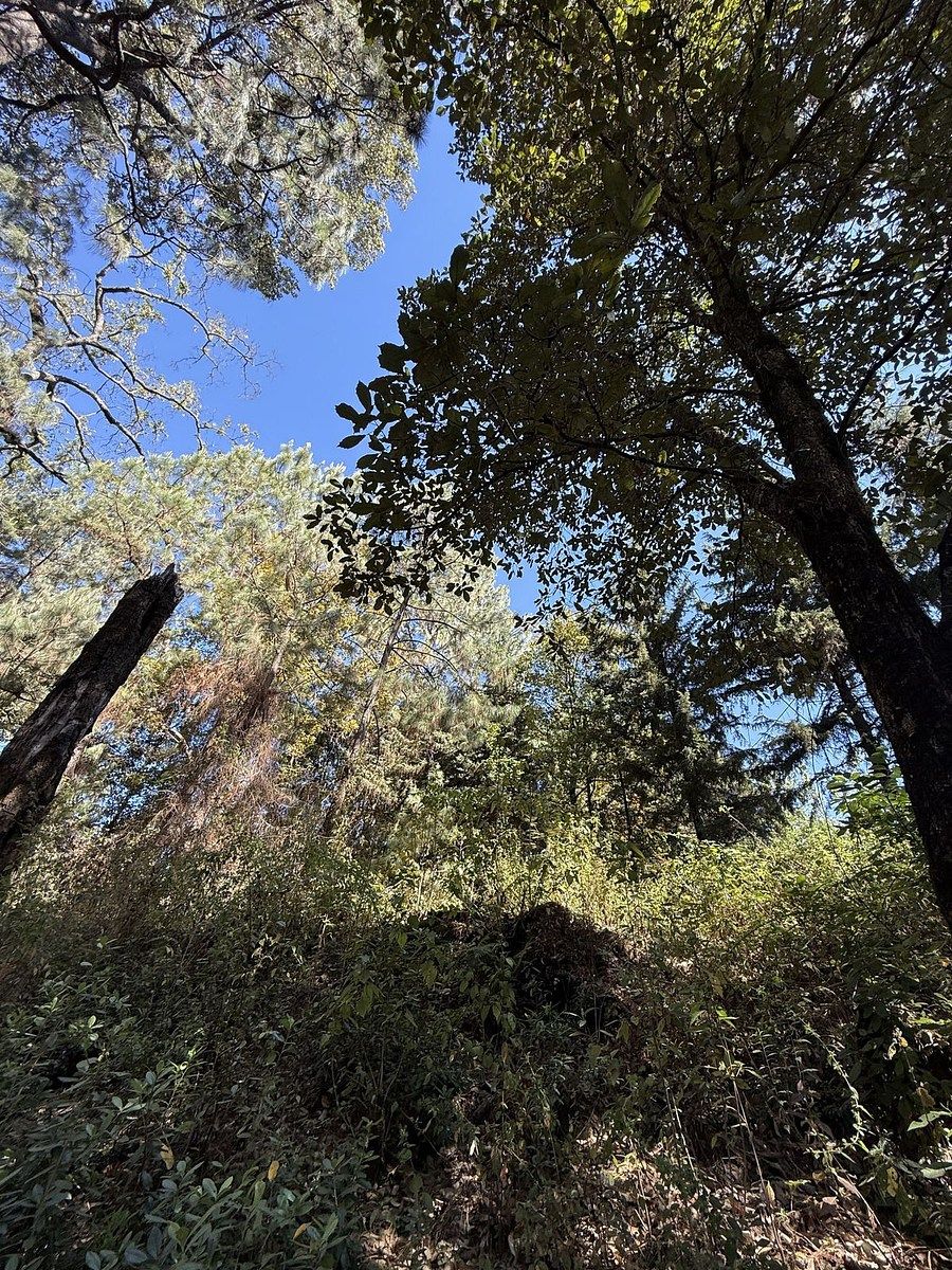 Lote em San Simón el Alto, Valle de Bravo, foto 3 de 12