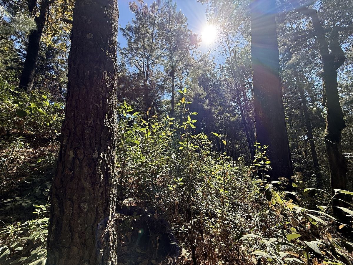 Lote em San Simón el Alto, Valle de Bravo, foto 5 de 12