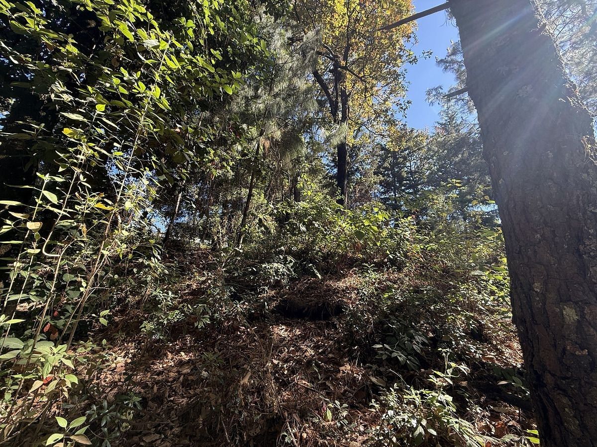 Lote em San Simón el Alto, Valle de Bravo, foto 6 de 12