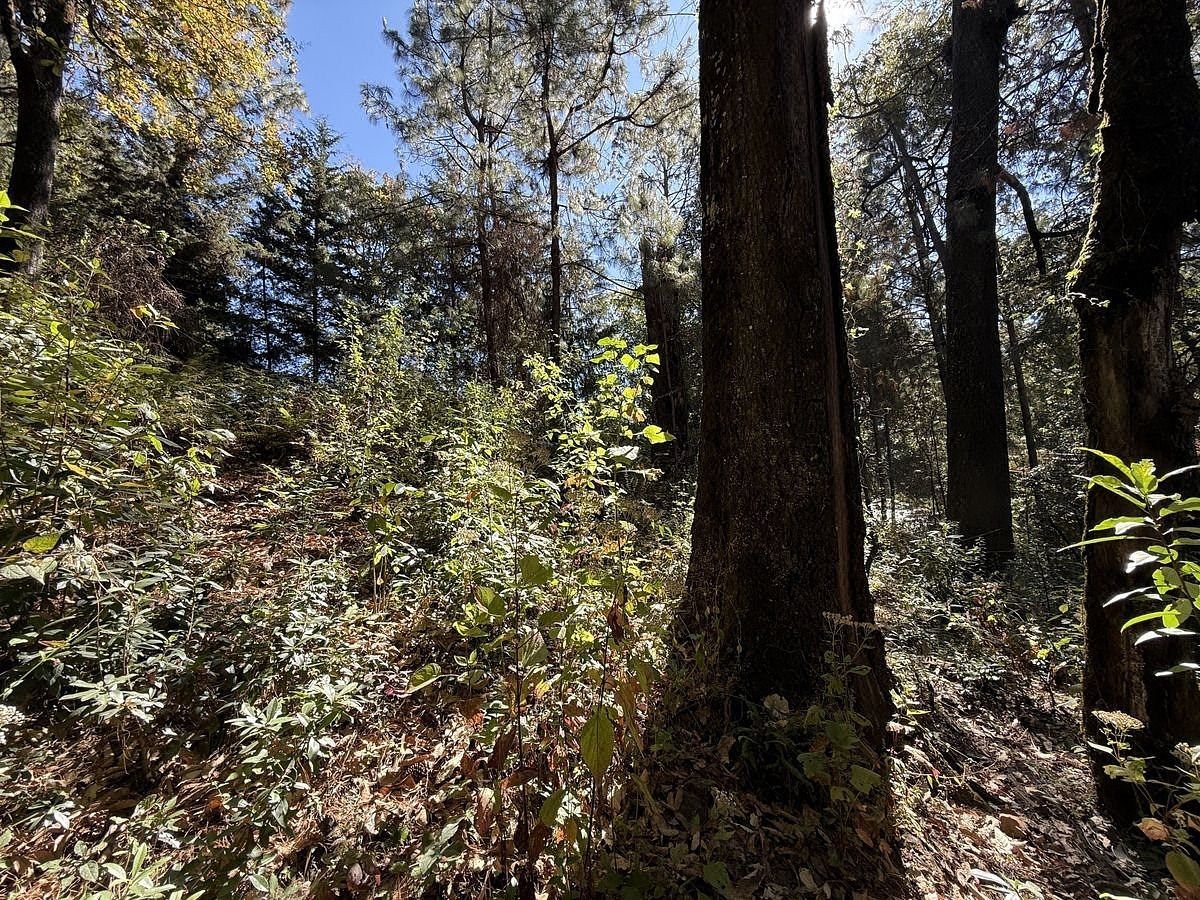 Lote em San Simón el Alto, Valle de Bravo, foto 7 de 12