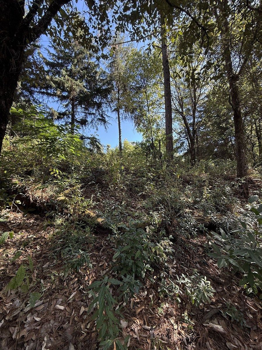 Lote em San Simón el Alto, Valle de Bravo, foto 8 de 12