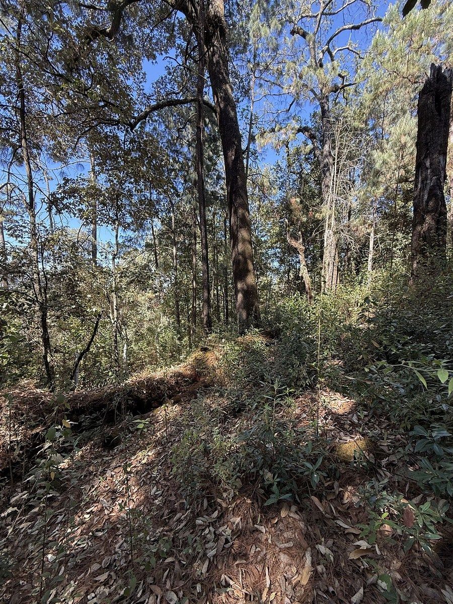 Lote em San Simón el Alto, Valle de Bravo, foto 10 de 12