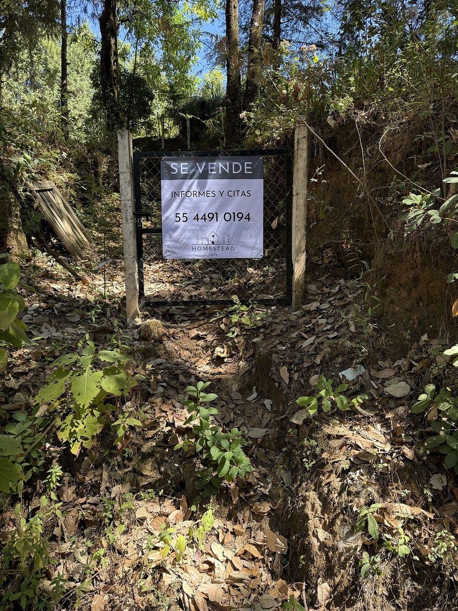 Lote em San Simón el Alto, Valle de Bravo, foto 11 de 12
