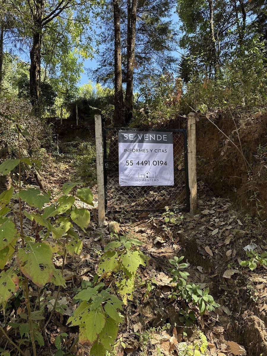 Lote em San Simón el Alto, Valle de Bravo, foto 12 de 12
