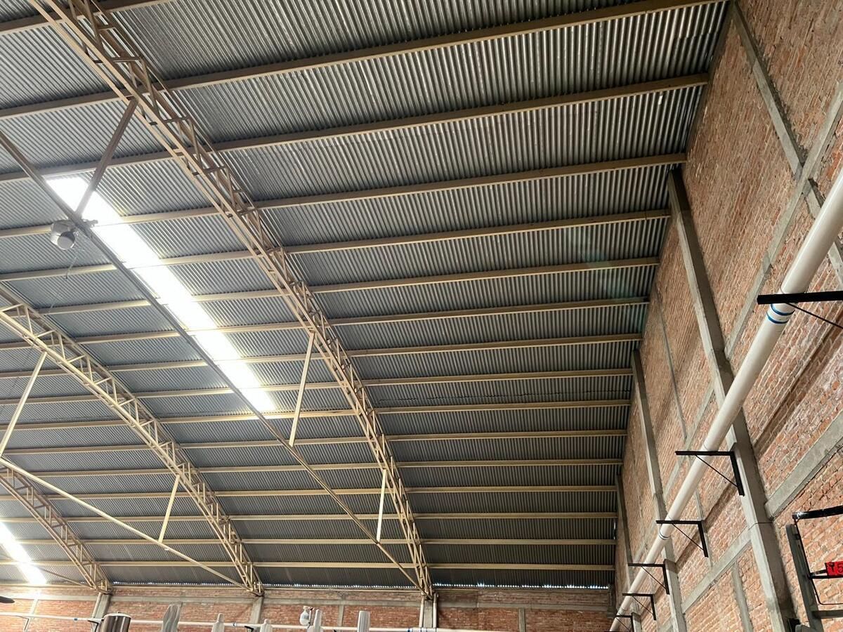 3 de 6
