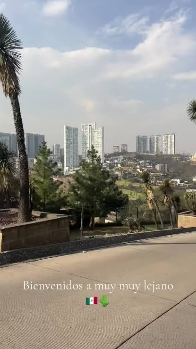 2 de 11