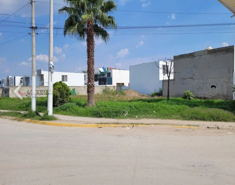 5 de 10