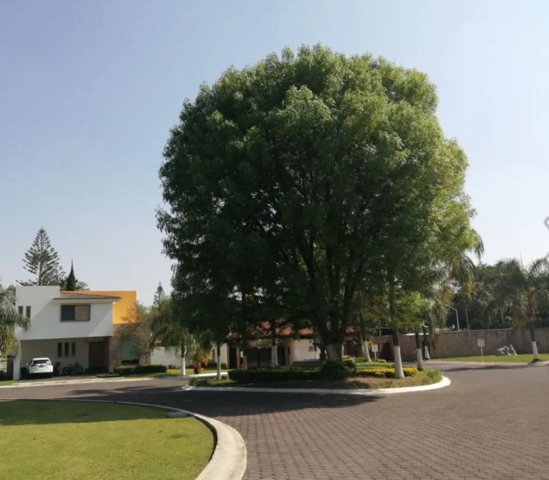 Terreno en Rinconada Santa Anita, Tlajomulco de Zúñiga, foto 5 de 12