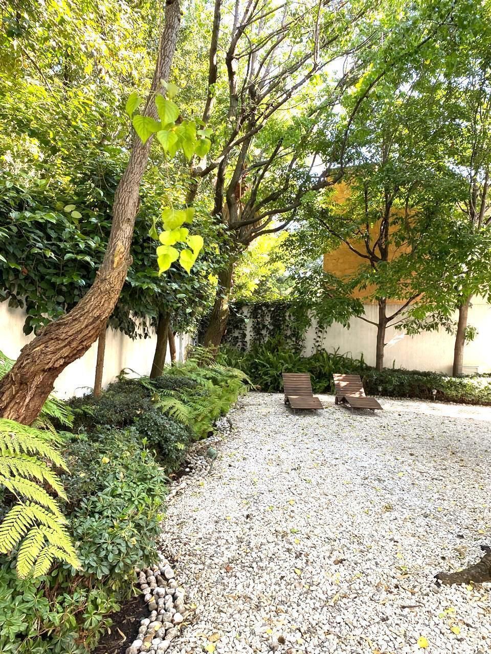 11 de 29: jardín trasero