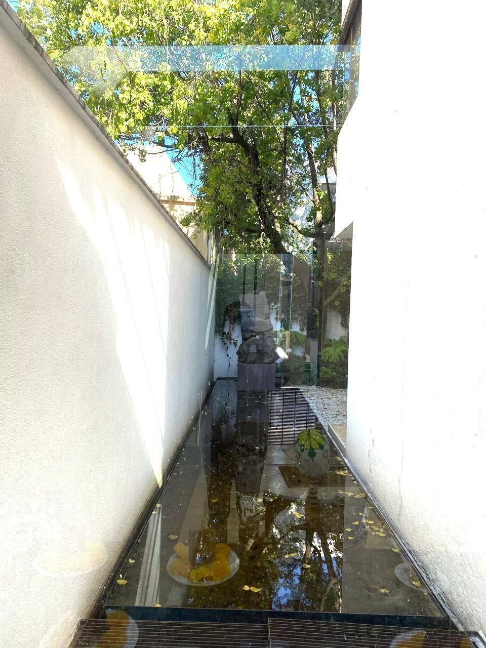 12 de 29: jardín trasero