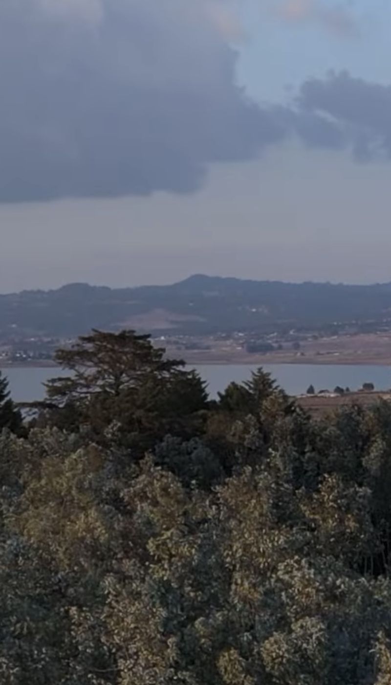 3 de 12